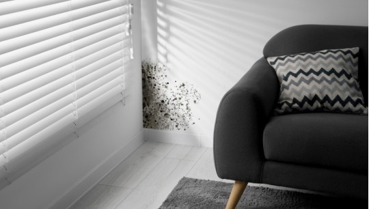 Porque aparecem manchas de humidade na parede e como eliminá-las de forma eficaz?